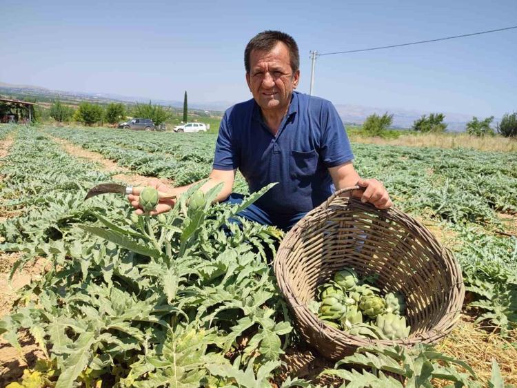 SADECE KARACİĞER DEĞİL, TÜM VÜCUDA ŞİFA
