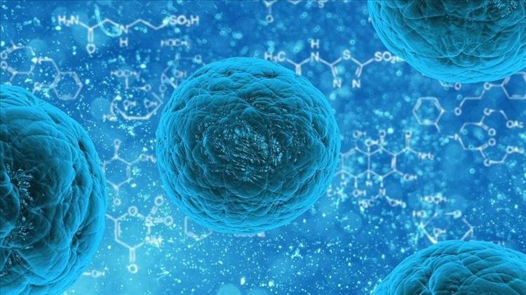 GEMİLERDE SALGINLARIN ÇIKIŞI NEDEN YAYGINLAŞTI