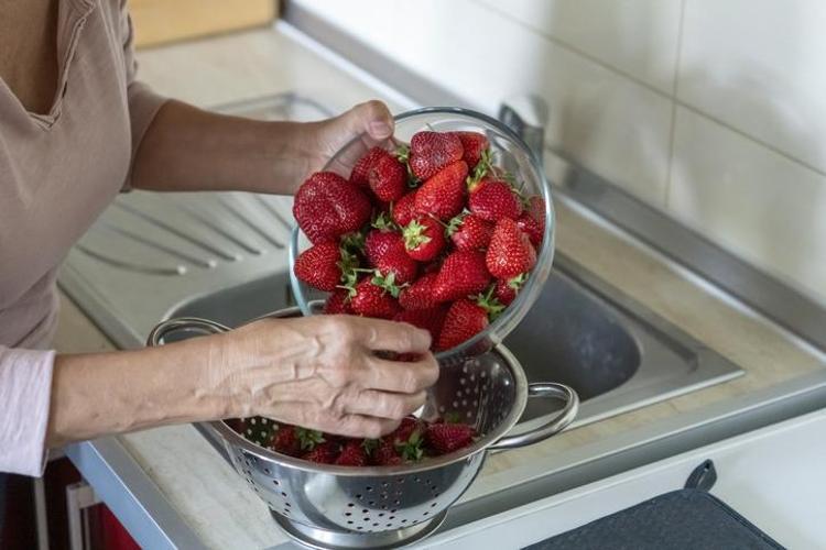 SAPLARINI SAKIN ÖNCEDEN KOPARMAYIN
