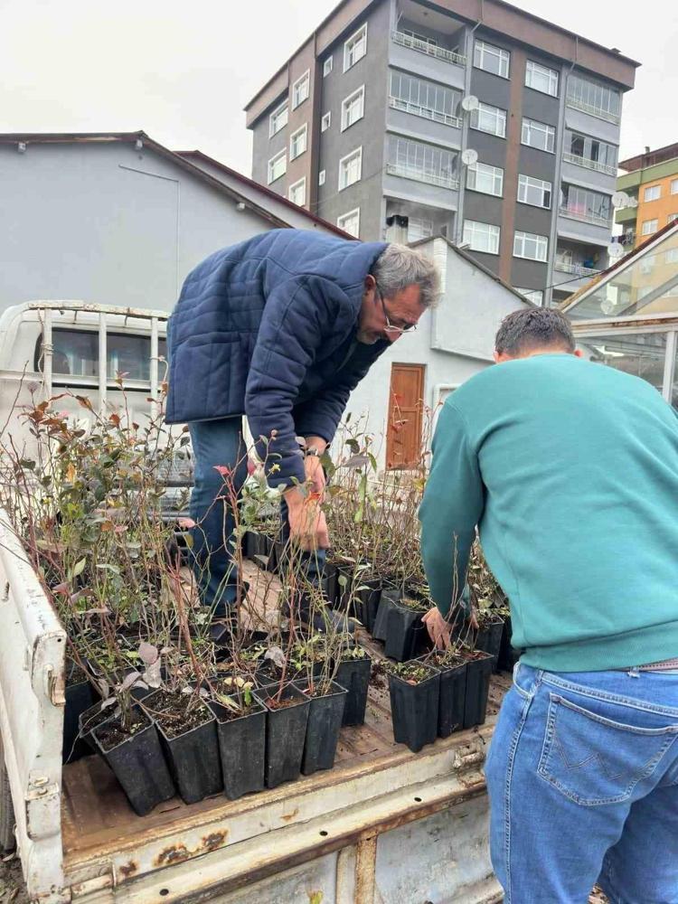Saksıda üreten köşeyi dönüyor Avrupalılar almak için sıraya girdi, talebe yetişilemiyor