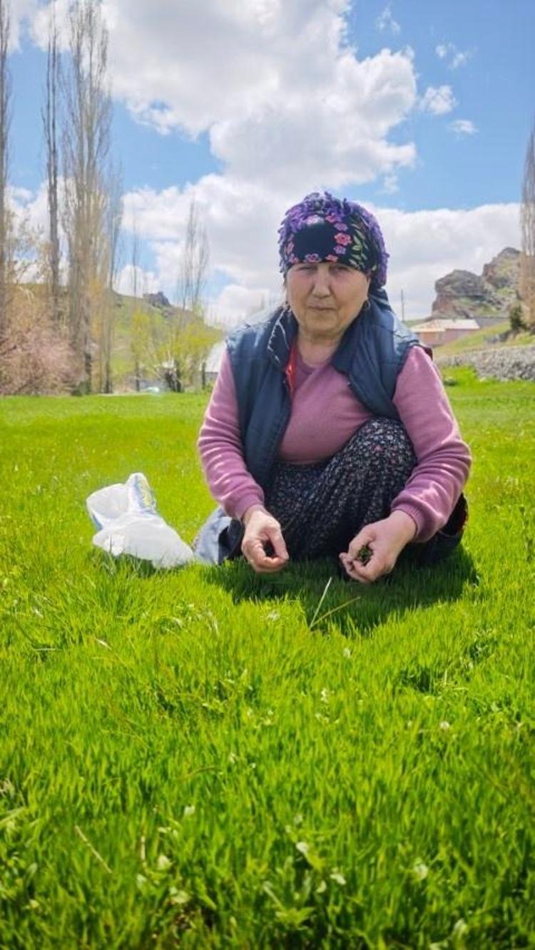 BÜYÜK BİR TİTİZLİKLE, JİLET KULLANILARAK TEK TEK HASAT EDİLİYOR