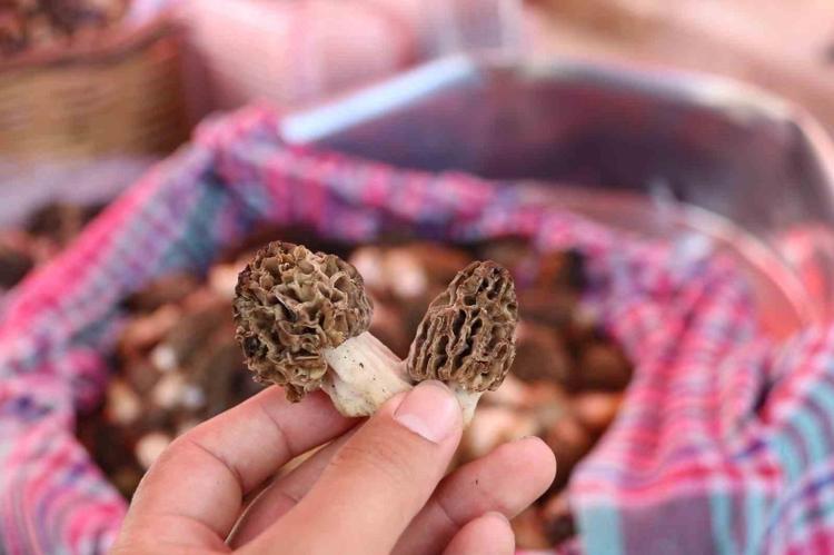 Kilosu 150 liradan kapış kapış satılıyor Yiyen etin tadını unutuyor: Gören tezgahın önünde kuyruk oldu