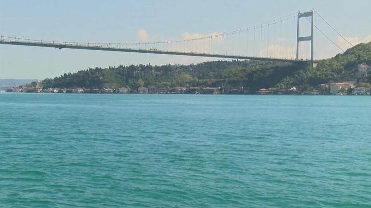 İstanbul Boğazı’nda neşeli misafir Su yüzeyine çıktı