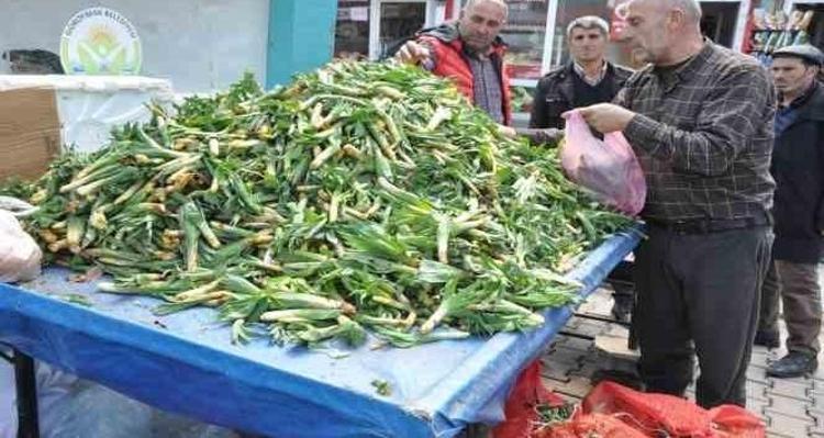 Kilosu 100 liradan tezgaha indi, gören çuvallarla alıyor Dağ tepelerinden gelen doğal antibiyotik satışta