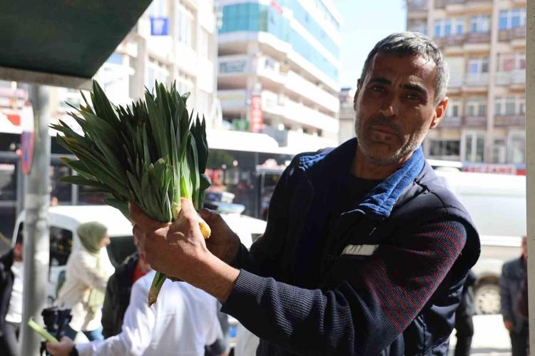 Kilosu 100 liradan tezgaha indi, gören çuvallarla alıyor Dağ tepelerinden gelen doğal antibiyotik satışta