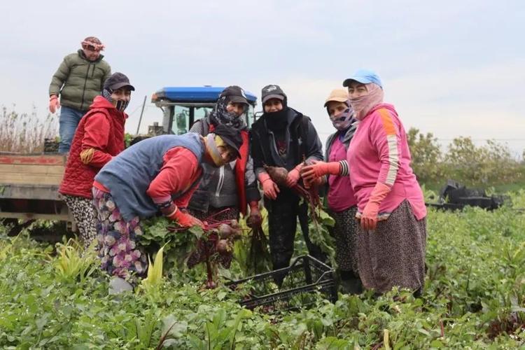 Genellikle değersiz görülüp atılıyordu Kilo vermek isteyenler için mucize besin
