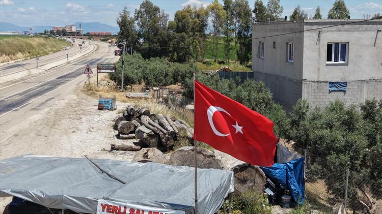 Ata tohumundan yetiştirilen sebzede hasat başladı Kilosu 10 TLden satılıyor: Eskiden çeyrek altın verilirdi