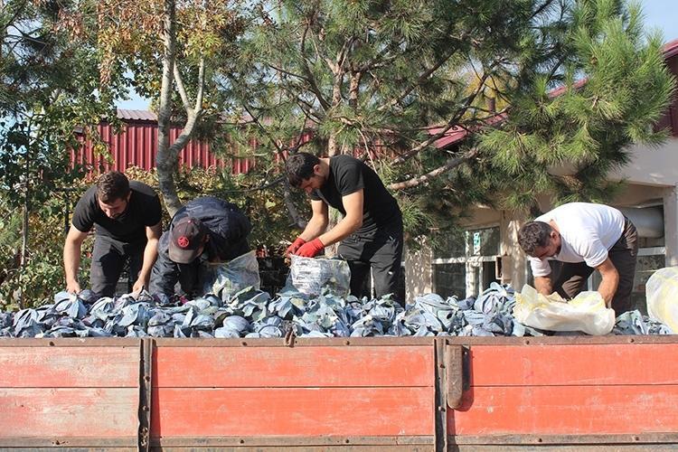 GÖZ SAĞLIĞINDAN HÜCRELERİN KORUNMASINA KADAR TAM BİR VİTAMİN DEPOSU