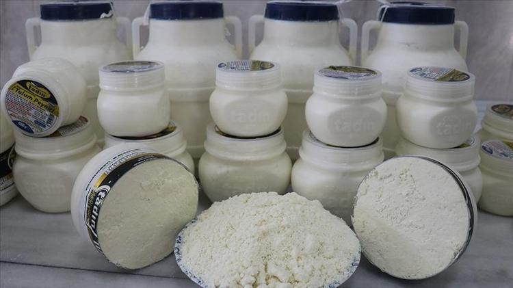 İnek peynirinden daha kolay sindiriliyor Laktoz hassasiyet olanlar için alternatif seçenek