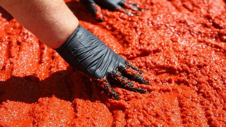 Domates salçası mı yoksa biber salçası mı kullanılmalı Şeflerin altın oranı belli oldu