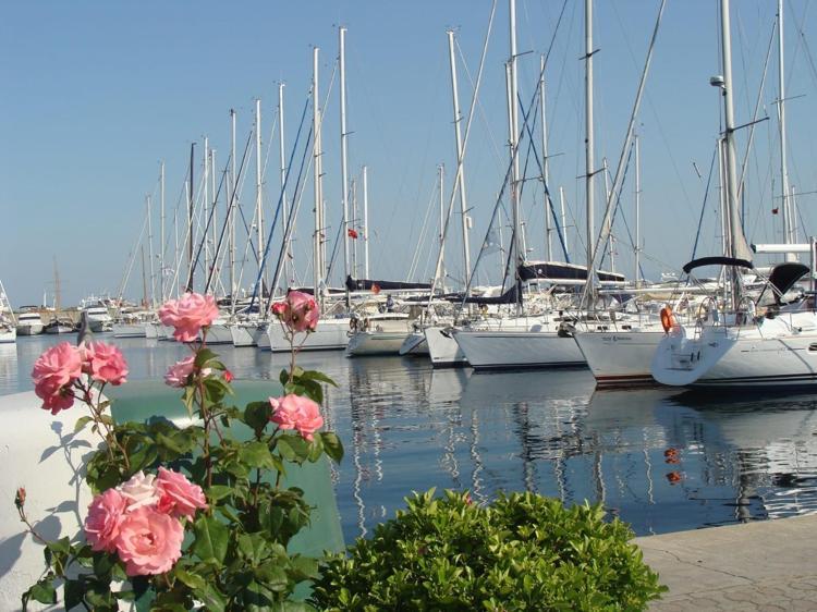 Türkiye kıyıları artık dünya markası Bakan Ersoy’dan “mavi gurur” vurgusu