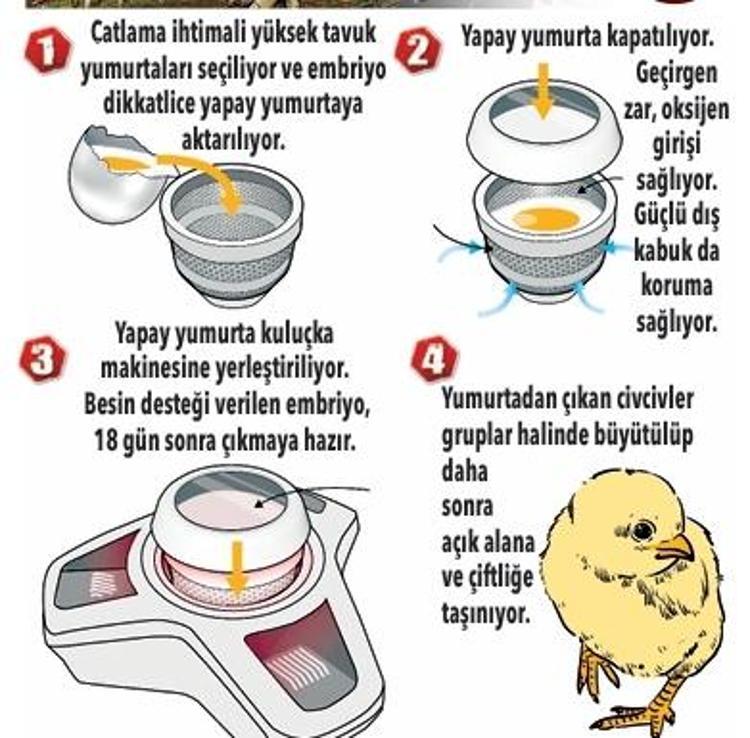 Jurassic Park gerçek mi oluyor İlk kez tamamen yapay yumurtadan çıktılar