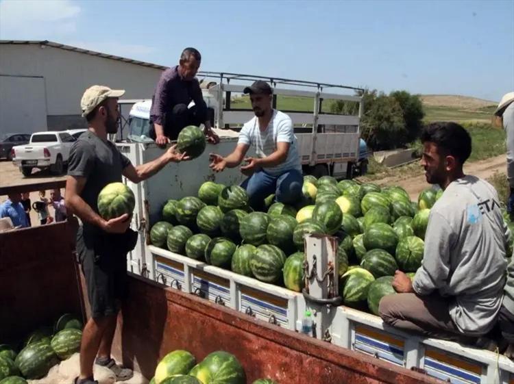 GEÇ EKİM BAŞLADI AMA ERKEN HASAT YAPILDI