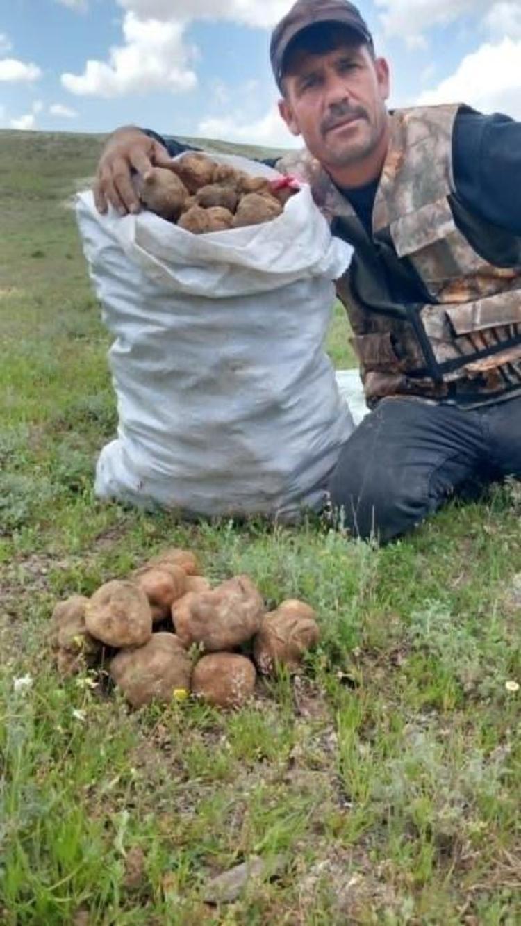 Türkiyeden Lübnan ve Katara çuval çuval satılıyor Kilosu tam 2 bin lira: Bulana anında ev ve araba aldırıyor...