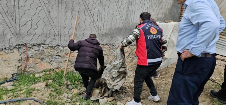 Yer: Muş Dehşetin boyu tam 3 metre Mahalleli korkudan dışarı çıkamıyor