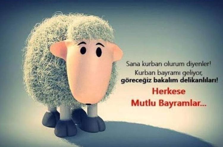 KAVURMA VE ET TEMALI KOMİK BAYRAM MESAJLARI