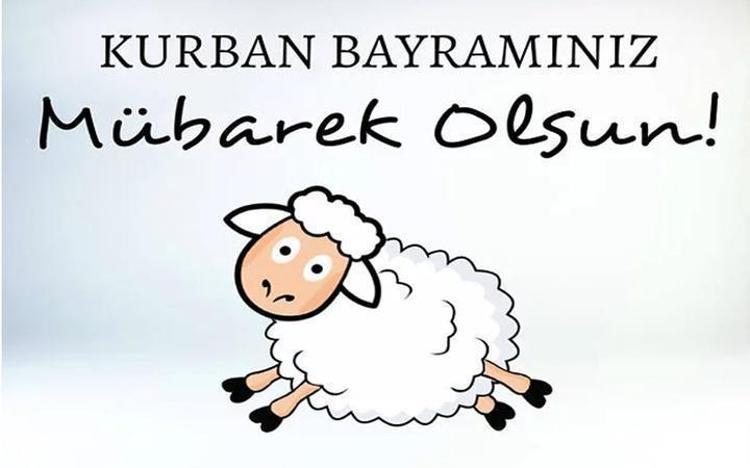KOMİK VE EĞLENCELİ KURBAN BAYRAMI MESAJLARI 2026: Yüz güldüren, kahkaha attıran bayram mesajları ve esprili sözler