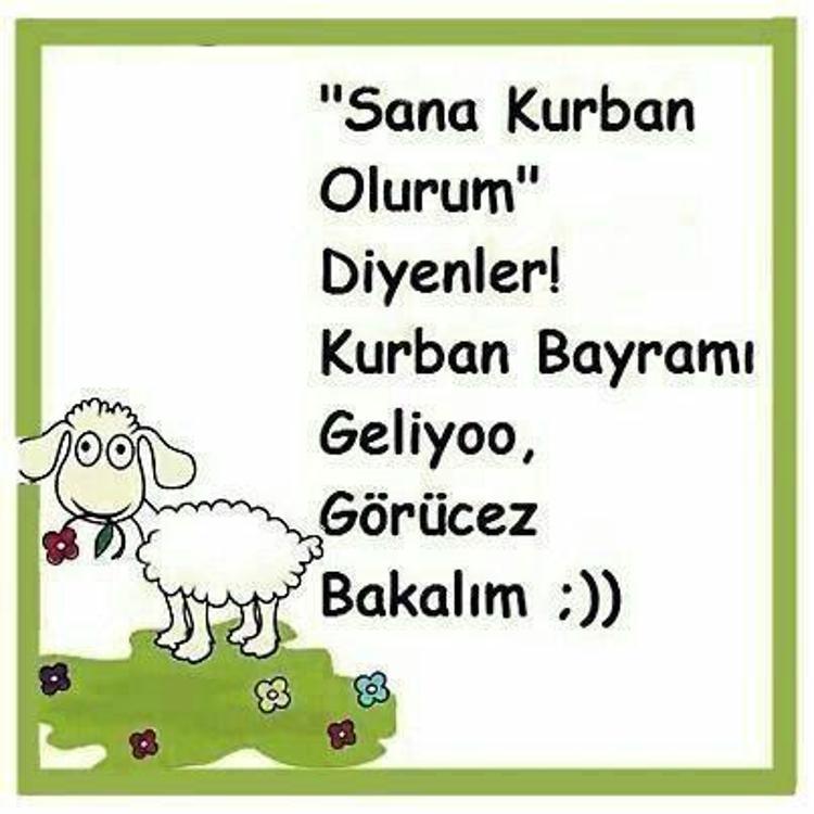 ARKADAŞA VE KANKAYA GÖNDERİLECEK KAHKAHA GARANTİLİ MESAJLAR