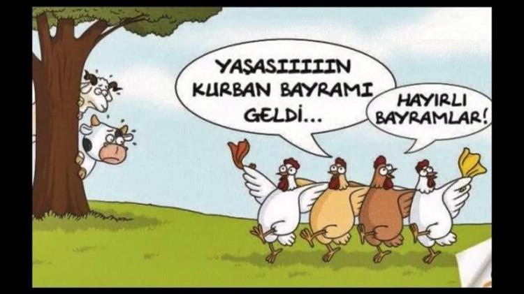 KURBANLIKLARIN DİLİNDEN EĞLENCELİ BAYRAM SÖZLERİ