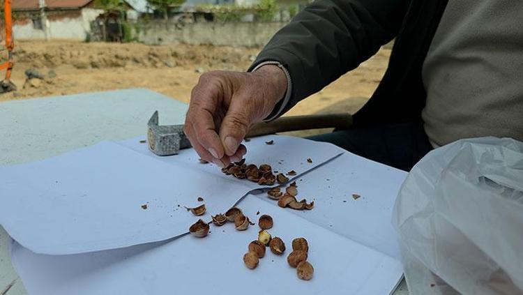 ASIL TADI VEREN KABUĞUN İÇİNDEKİ ZAR