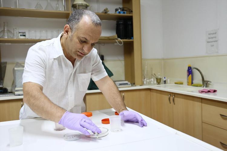 Bahçeye, ormana girerken 2 kere düşünün Uzmanlar uyardı: Risk yükseldi