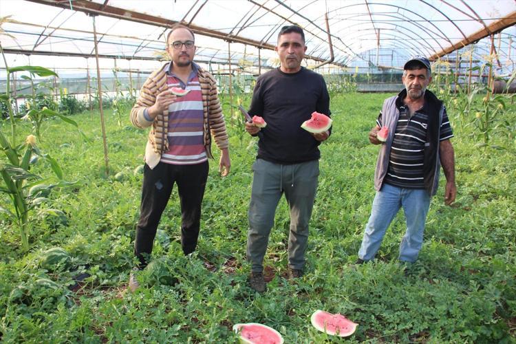 Tadını bilenler fiyatını sormuyor Rengi, kokusu ve lezzetiyle resmen al beni diyor