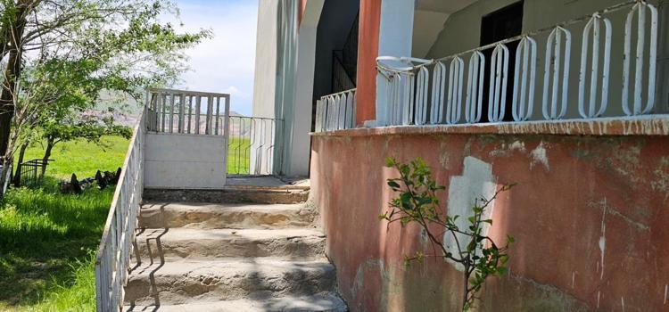 Yılanlar tüm evi sardı Boyları tam 3 metre... Geceleri uyuyamıyoruz