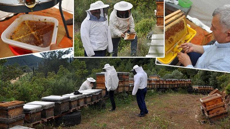 Kilosu 1000 liradan satılıyor Antalyada ezber bozan acı bal hasadı başladı