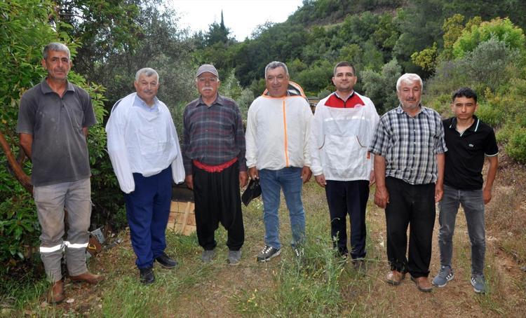 Kilosu 1000 liradan satılıyor Antalyada ezber bozan acı bal hasadı başladı