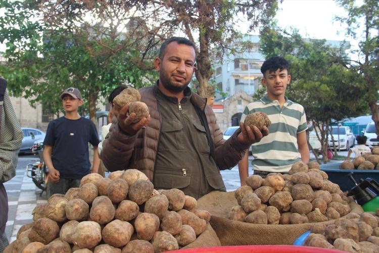 ŞİFALI BİR MANTAR TÜRÜ