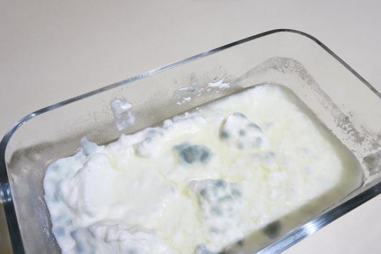Koklamak bile akciğerleri bitiriyor Salça, yoğurt ve ekmekte küf görünce bunu yapmayan yandı