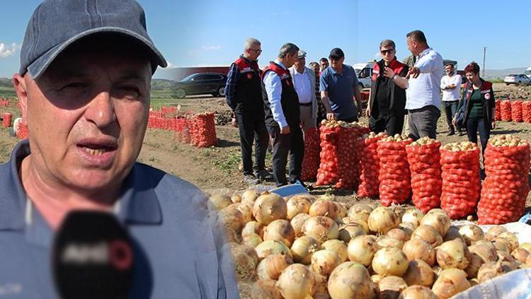 Beklenen hasat başladı, kilosu 12.5 TLden satılıyor Kolesterolü düzenleyip tansiyonu dengeliyor