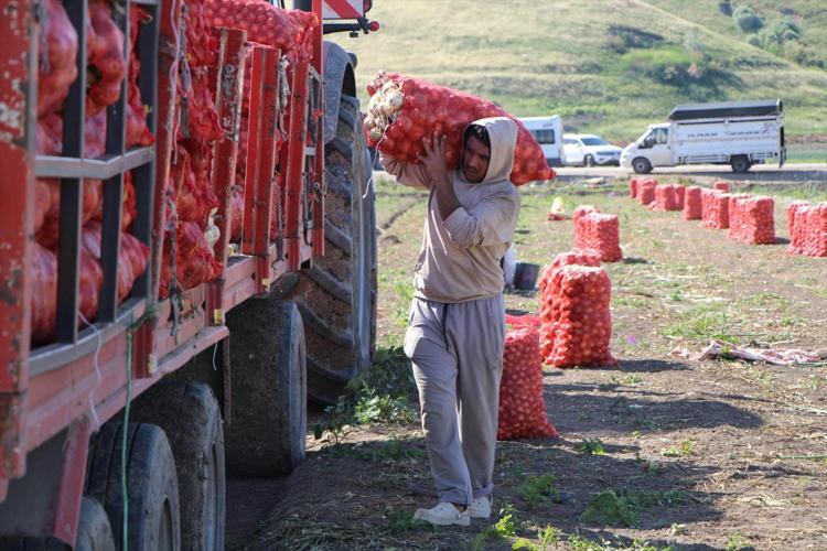 SOFRAMIZDA SOĞAN EKSİK OLMAYACAK