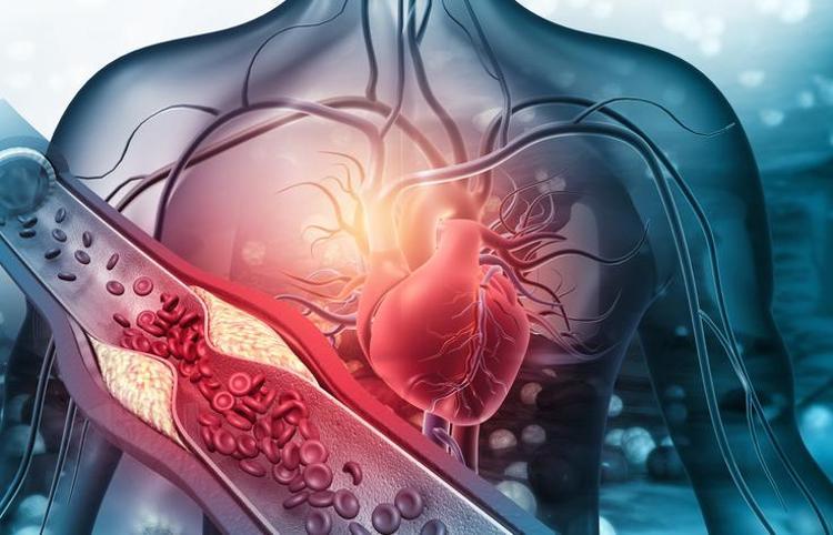 Kalp krizi riskini %63 azaltıyor Uzmanlar uzun yaşamın anahtarı olan o organı açıkladı