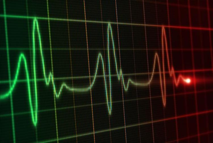Kalp krizi riskini %63 azaltıyor Uzmanlar uzun yaşamın anahtarı olan o organı açıkladı