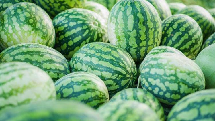 Karpuzu keserken 2 kere düşünün Bu hatayı yapan pişman oluyor
