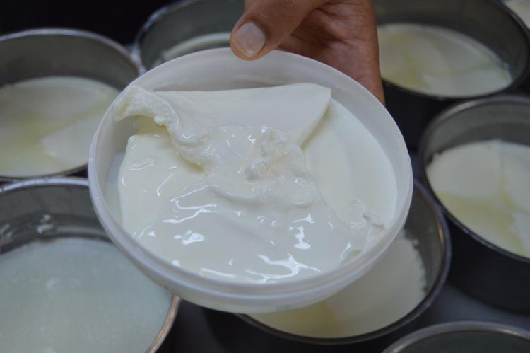 Kaymak mı daha sağlıklı, tereyağı mı Kahvaltıda mutlaka 1 kaşık tüketin