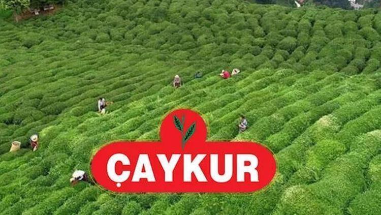 ÇAYKUR İŞÇİ ALIMI 2026 BAŞVURUSU SON DURUM | ÇAYKUR mevsimlik işçi alımı başvurusu başladı mı 2026 İŞKUR ÇAYKUR işçi alımı başvuru şartları ve kadro detayları