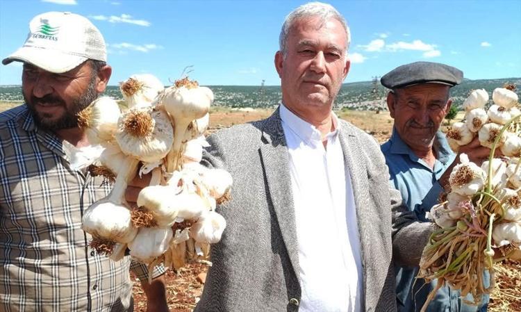 Dünyanın en iyileri listesinde ilk 5te Bereketli ovadan sofralara gelecek