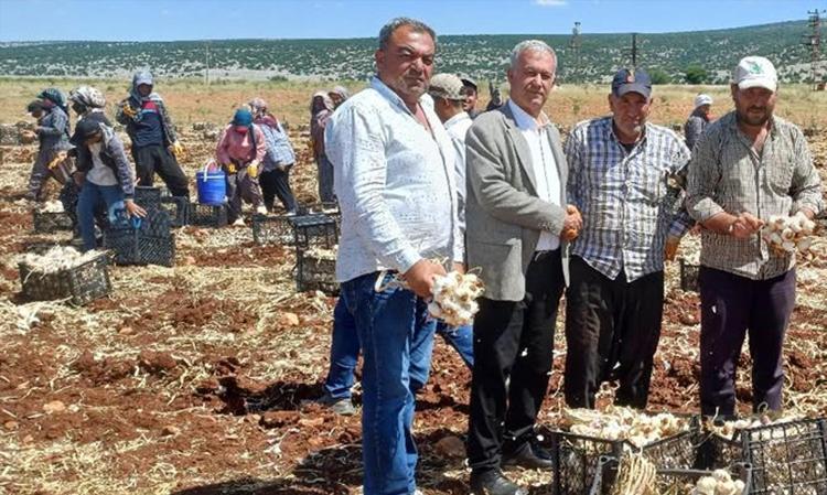 Dünyanın en iyileri listesinde ilk 5te Bereketli ovadan sofralara gelecek