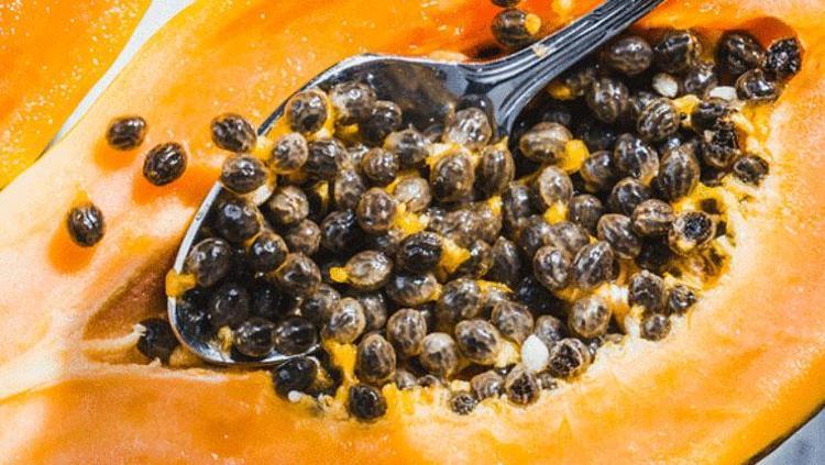 YÜZYILLARIN GÜZELLİK SIRRI: PAPAYA VE ZERDEÇAL MUCİZESİ