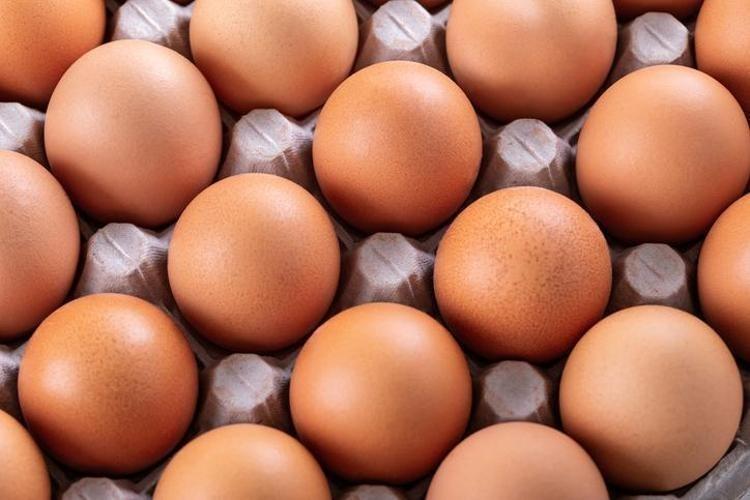 YUMURTA YIKAMANIN BÜYÜK ZARARI ORTAYA ÇIKTI