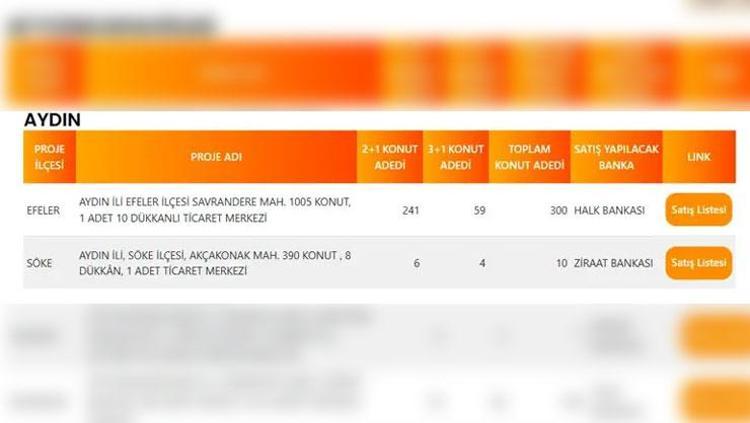 AYDIN TOKİ PROJE LİSTESİ