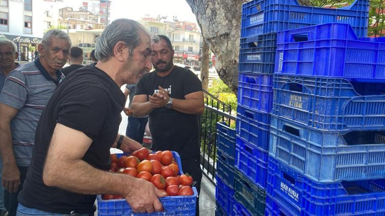 5 lira mı Buyurun bedava diyerek çağırdı Halde alıcı bulamayan çiftçi 4 ton domatesi meydanda ücretsiz dağıttı