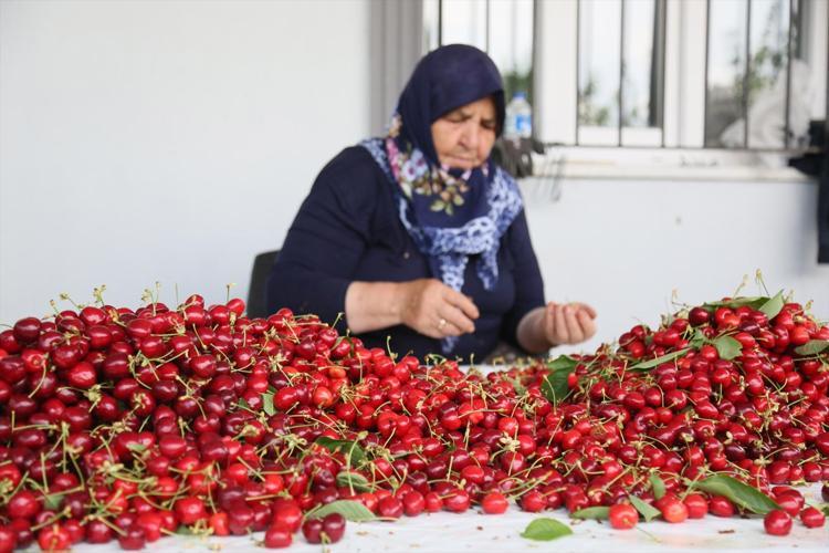 ÜRETİM ALANLARI KÜÇÜK ÖLÇEKLİ