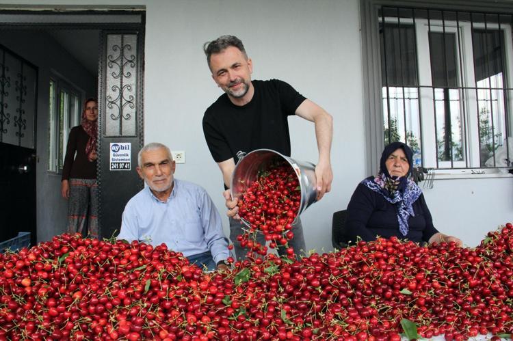 İzmir ve Manisada hasadı başladı Kilosu 40 TL: Tek tek elle toplanıyor, 70 derdin devası