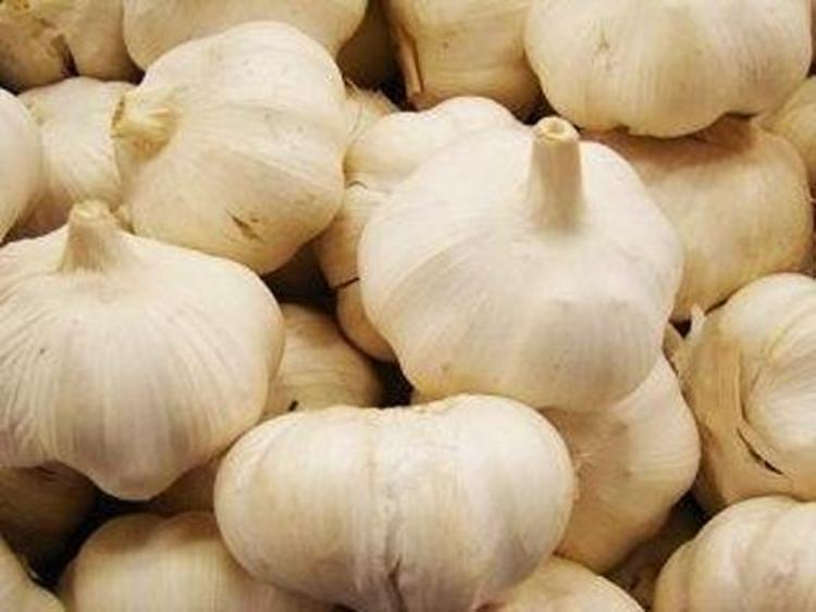 Dünya devlerini geride bıraktık Dünyanın en iyi 17 sarımsağı seçildi: Türkiye’den listeye giren 2 çeşidimiz göğsümüzü kabarttı