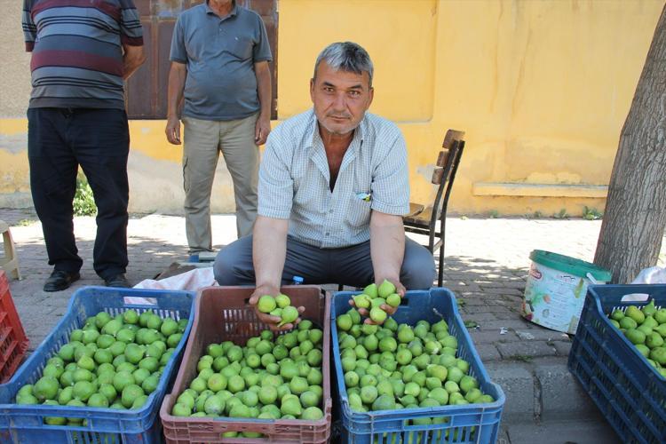 Kilosu 500 TL’den satılıyor, olmazsa olmaz Bu pazar tezgahında meyve değil milyonlarca sinek satılıyor