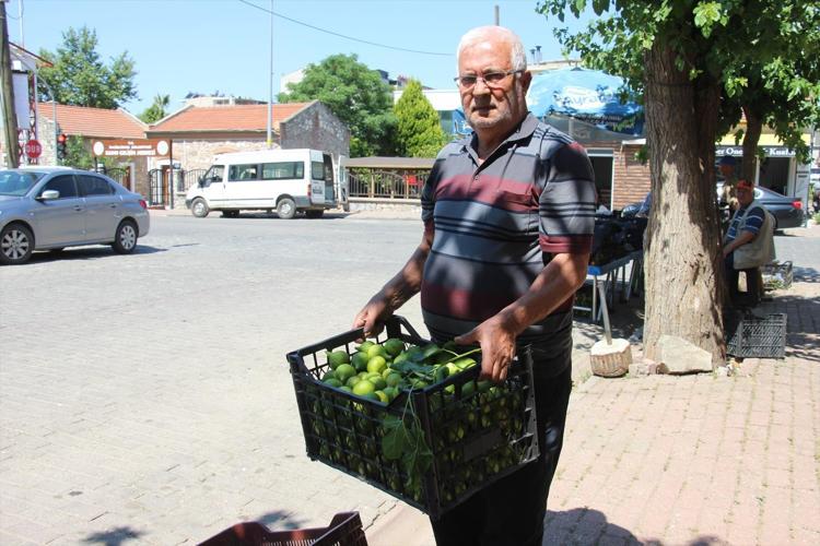 Kilosu 500 TL’den satılıyor, olmazsa olmaz Bu pazar tezgahında meyve değil milyonlarca sinek satılıyor