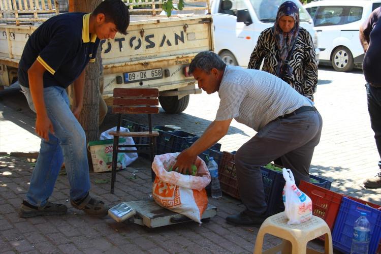 Kilosu 500 TL’den satılıyor, olmazsa olmaz Bu pazar tezgahında meyve değil milyonlarca sinek satılıyor